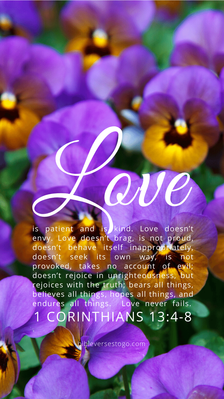 Christian Wallpaper – Pansies 1 Corinthians 13:4-8