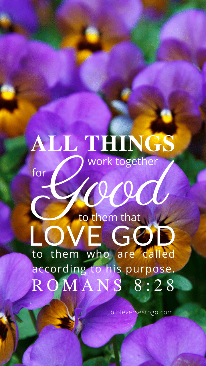 Christian Wallpaper – Pansies Romans 8:28