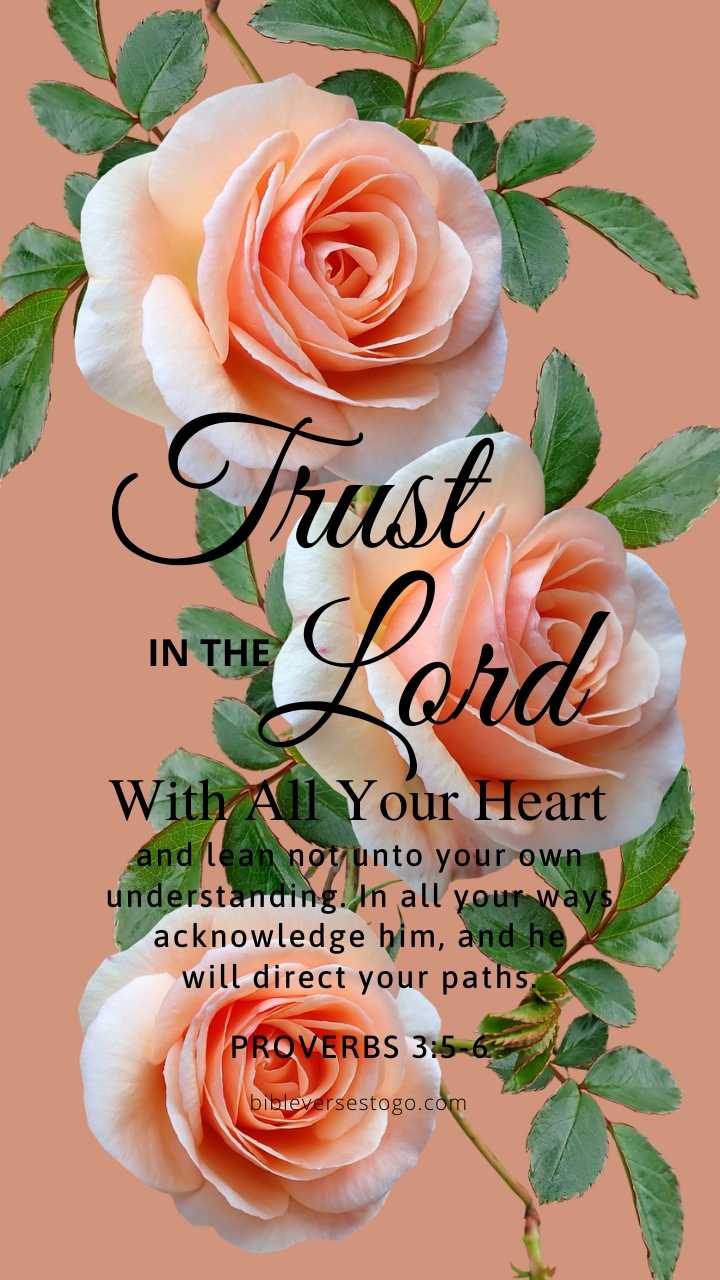 Christian Wallpaper - Peach Roses Proverbs 3:5-6