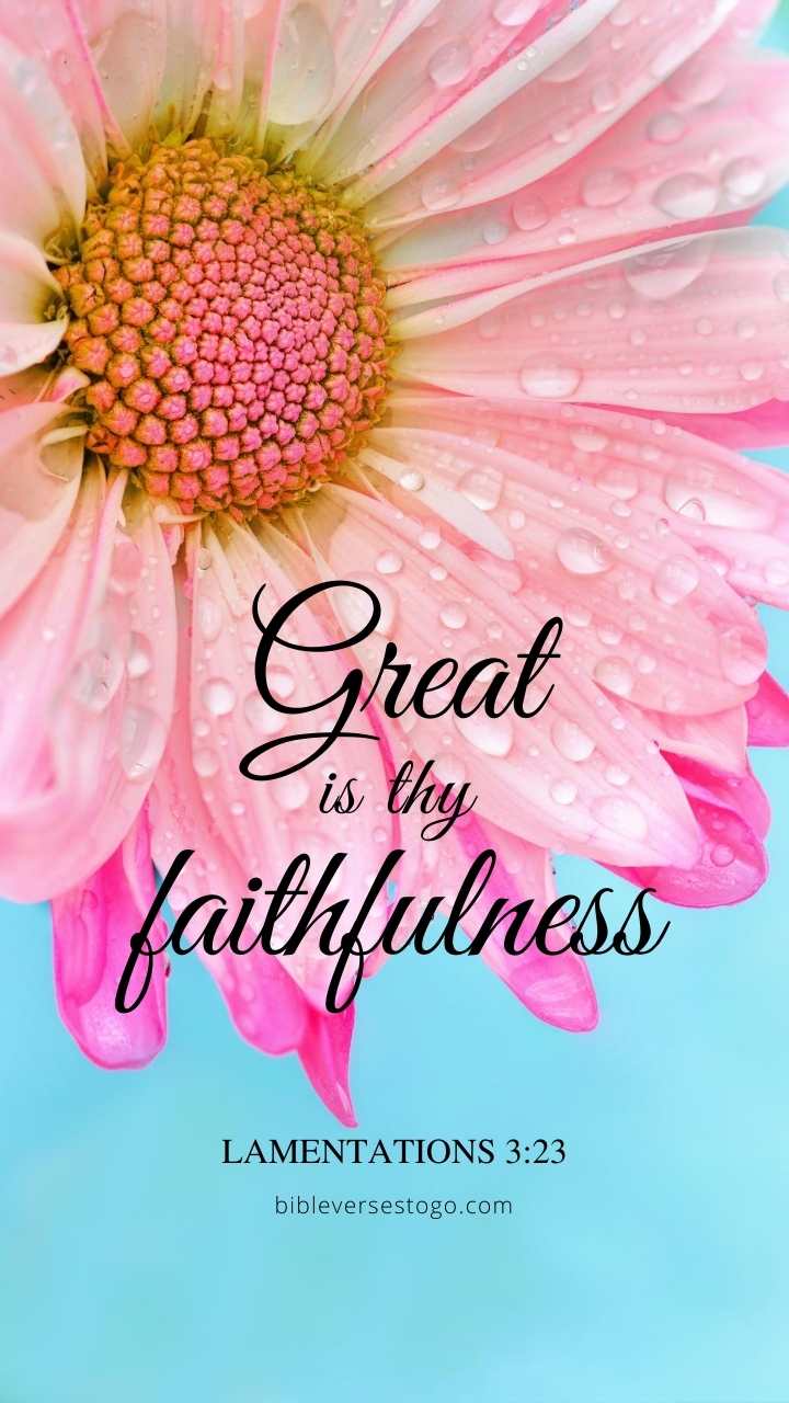 Christian Wallpaper - Pink Daisies Lamentations 3:23