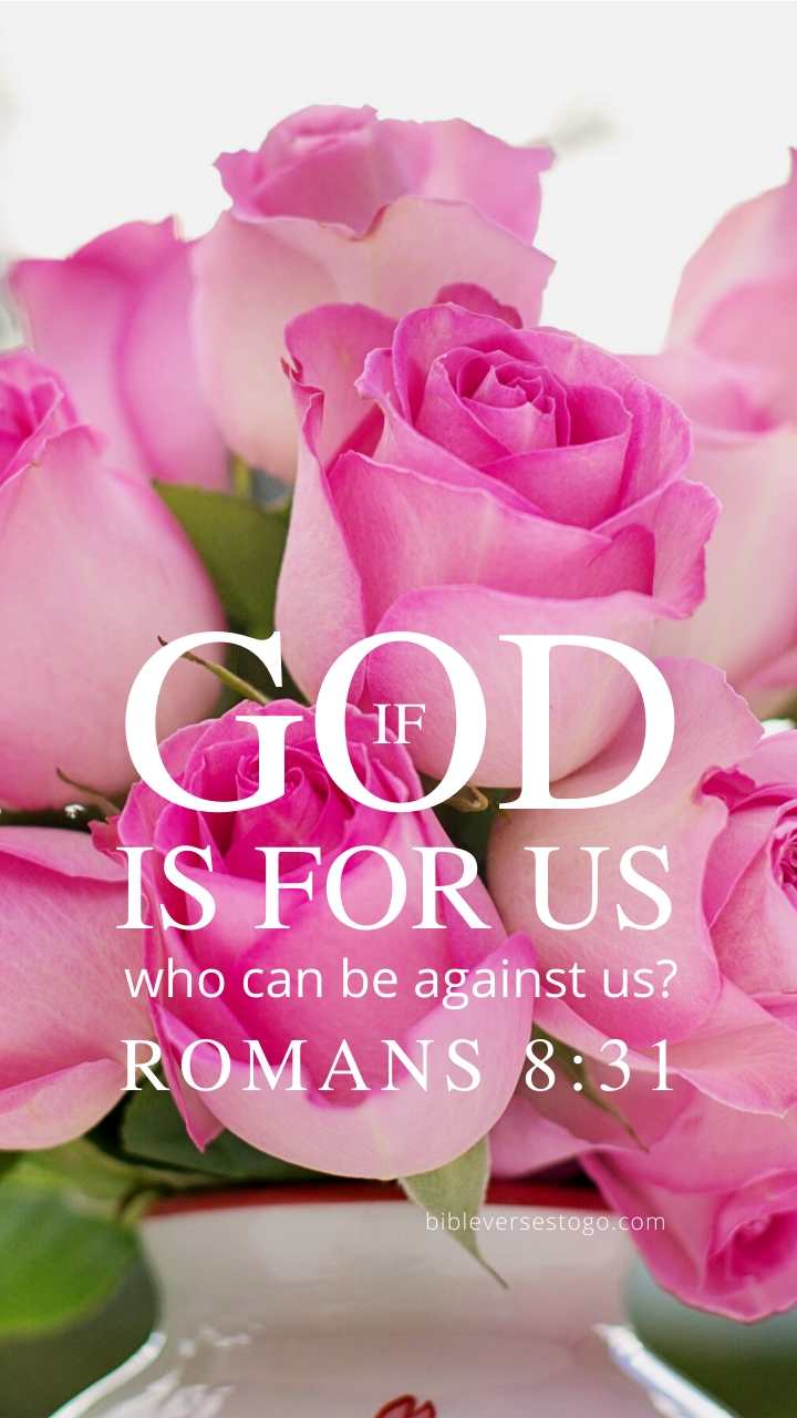 Christian Wallpaper - Pink Roses Romans 8:31