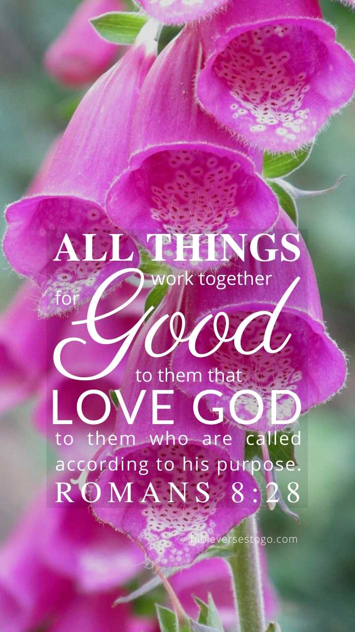 Christian Wallpaper – Pink Bells Romans 8:28