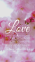 Christian Wallpaper – Pink Bloom 1 Corinthians 13:4-8