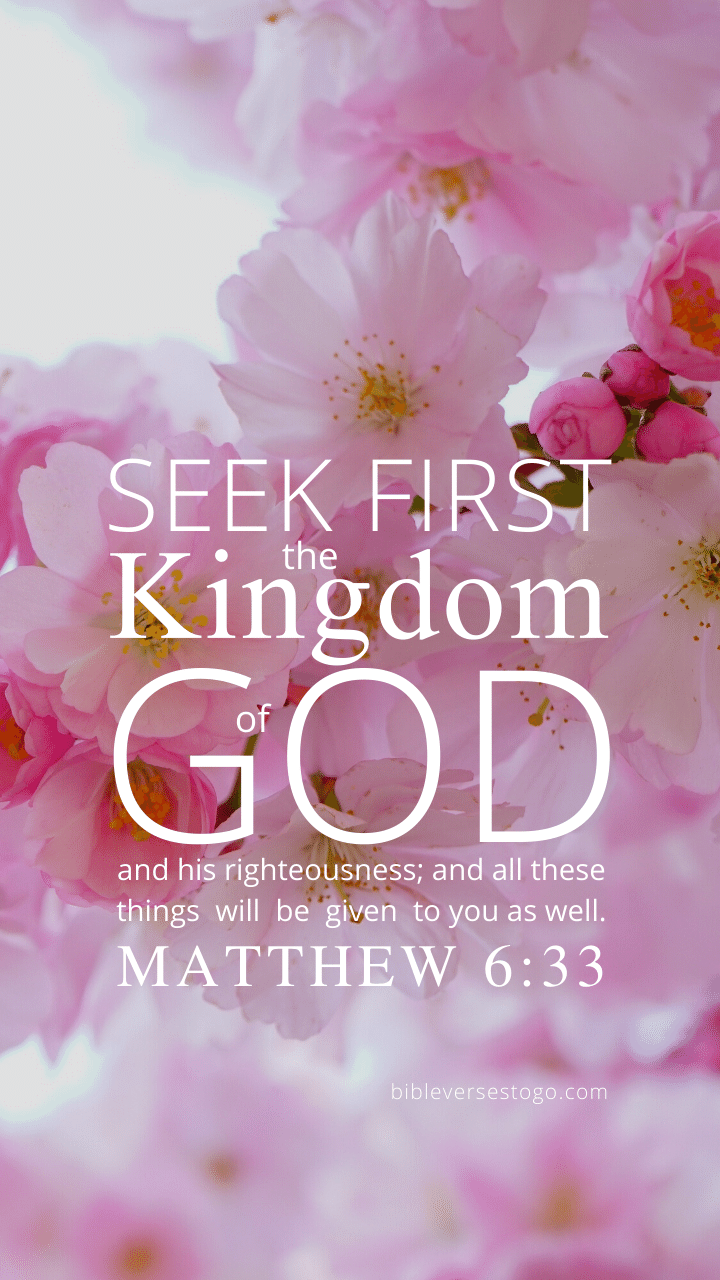 Christian Wallpaper – Pink Bloom Matthew 6:33