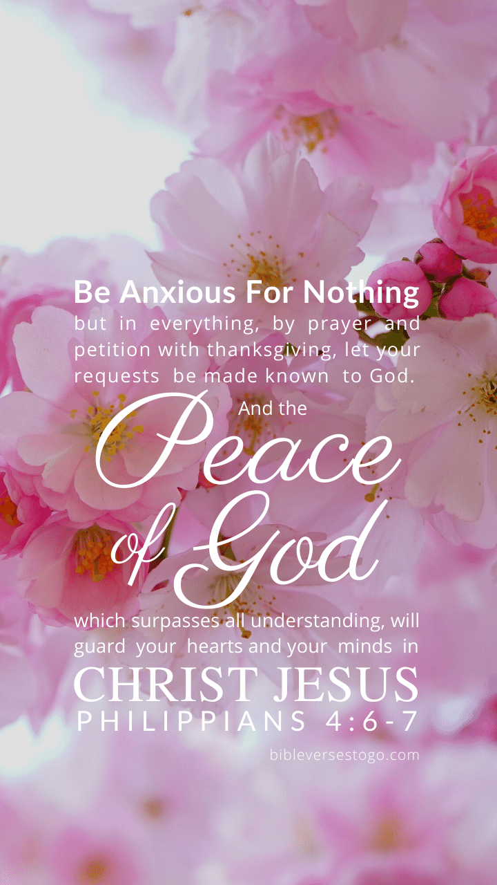 Christian Wallpaper – Pink Bloom Philippians 4:6-7