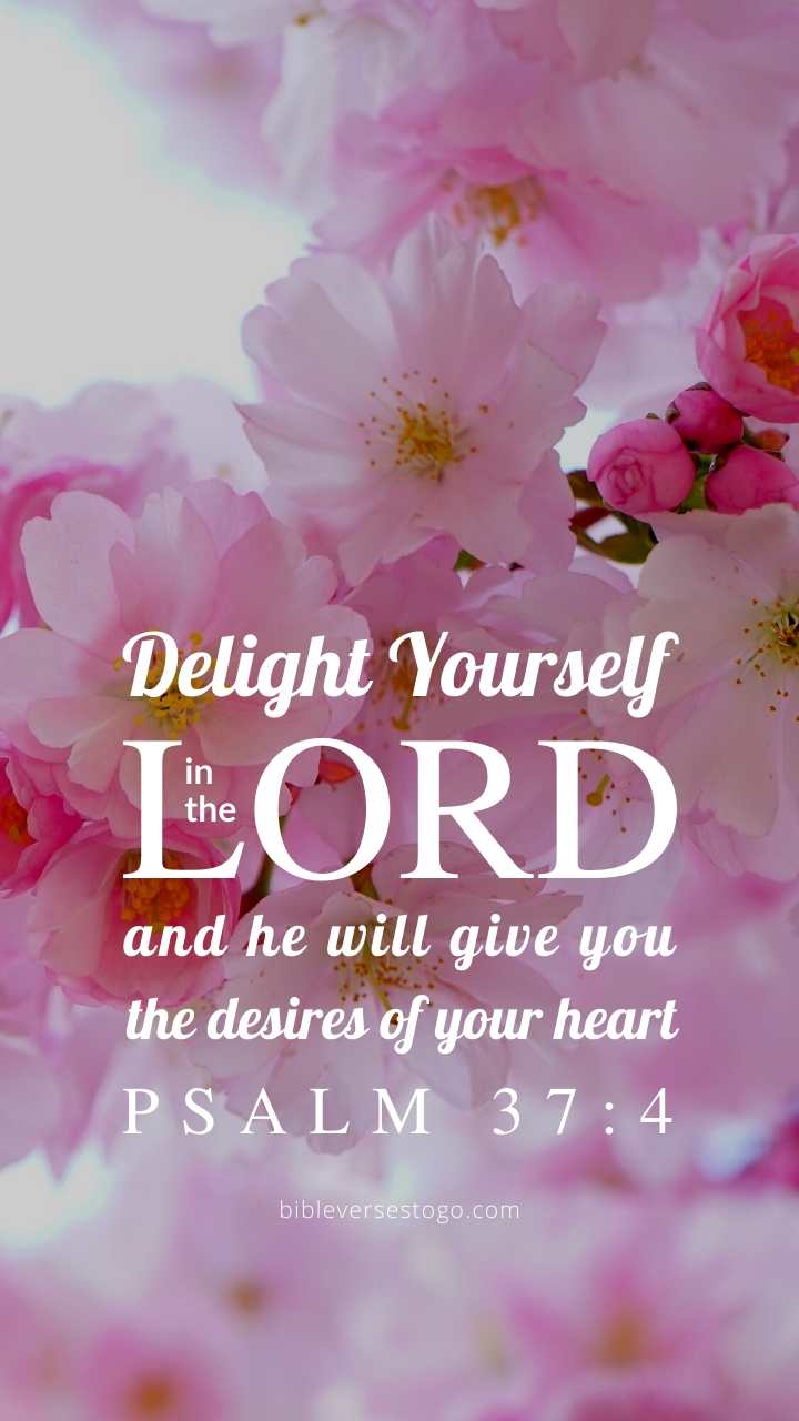 Christian Wallpaper - Pink Bloom Psalm 37:4