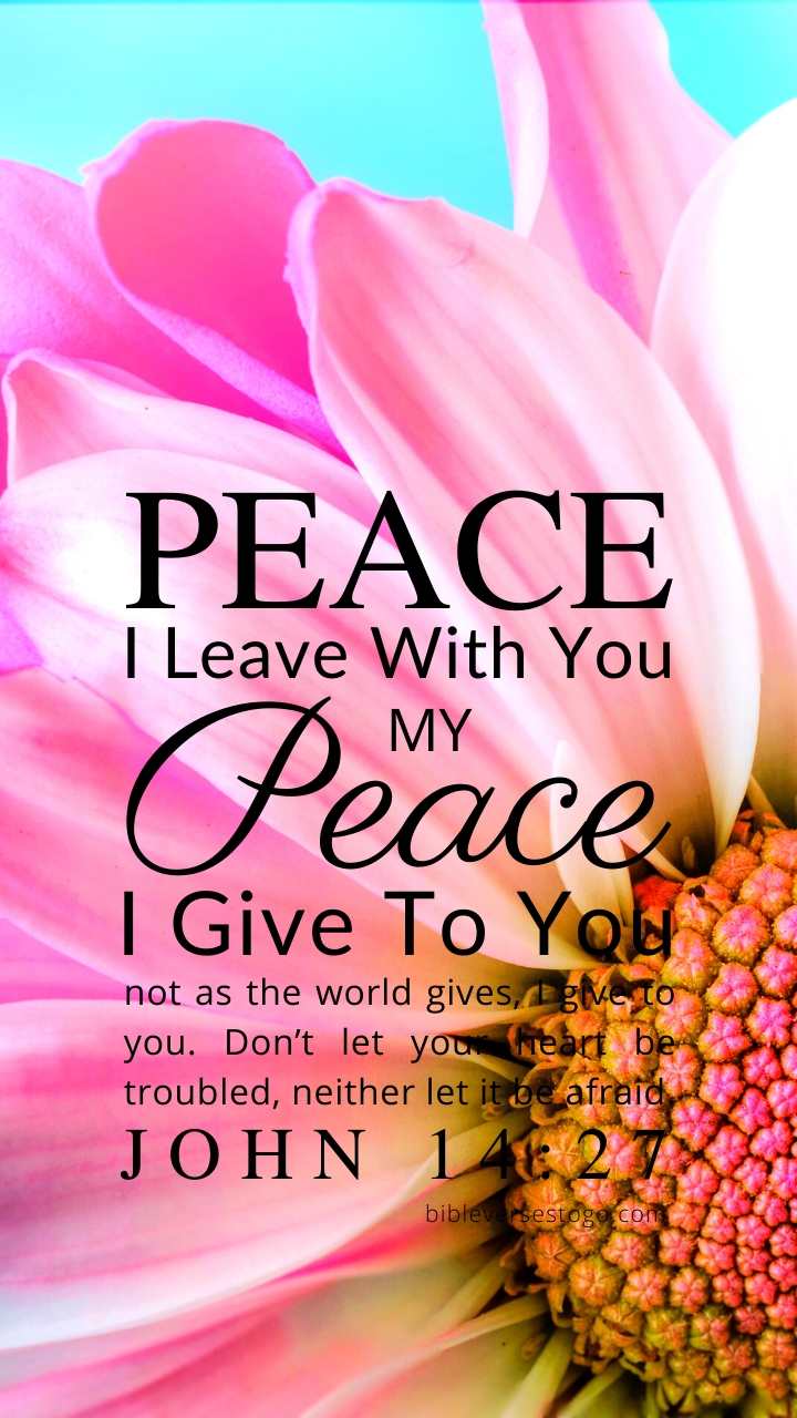 Christian Wallpaper – Pink Daisy John 14:27