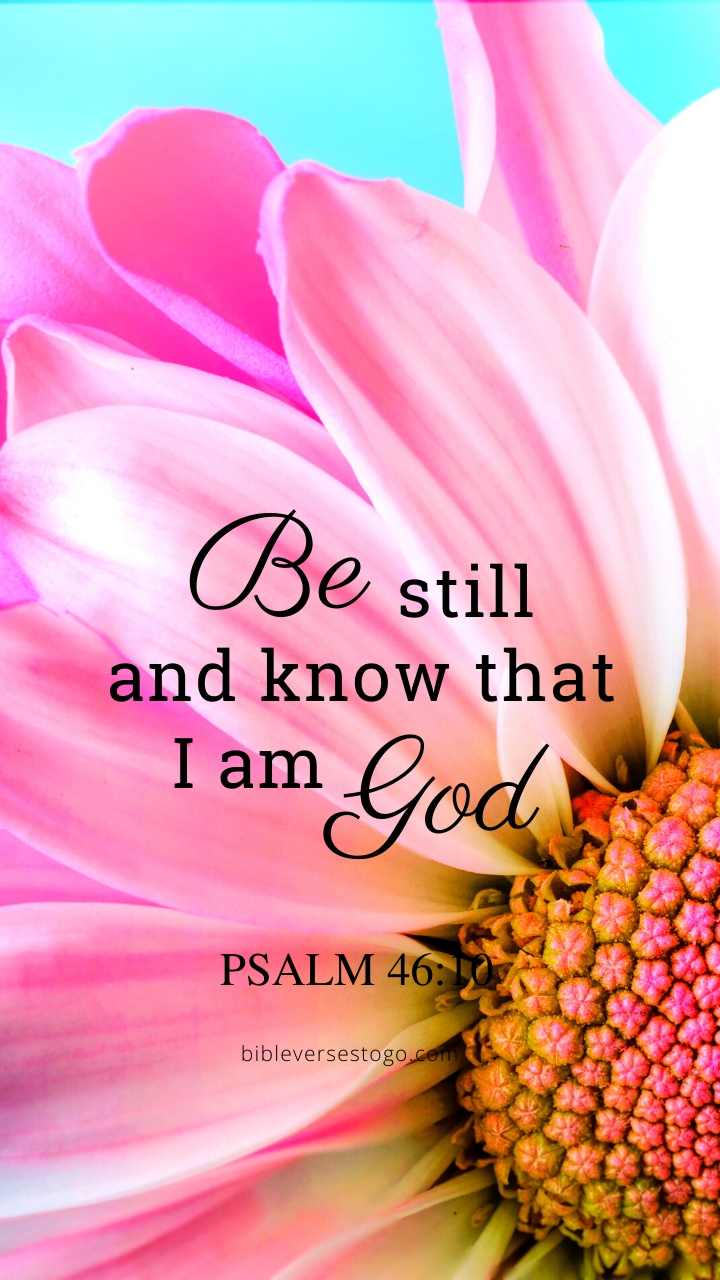 Christian Wallpaper – Pink Daisy Psalm 46:10