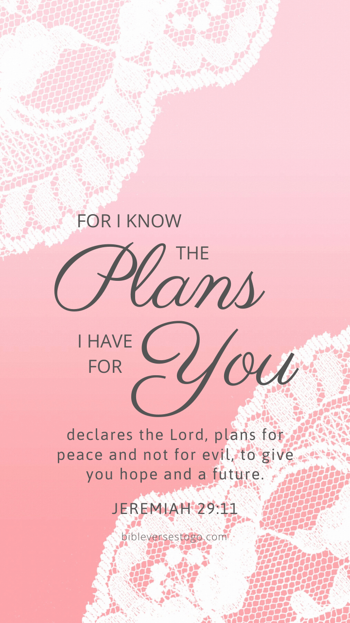 Christian Wallpaper – Pink Lace Jeremiah 29:11