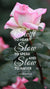 Christian Wallpaper - Pink & White James 1:19