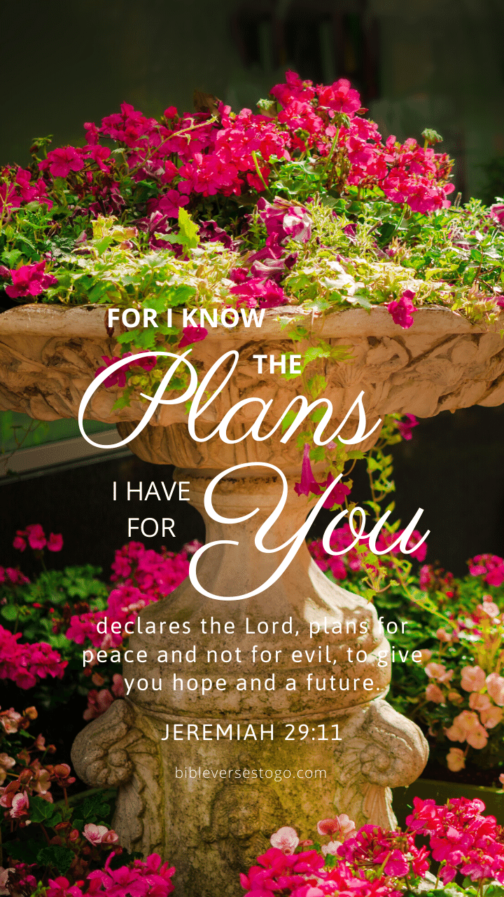 Christian Wallpaper – Planter Jeremiah 29:11