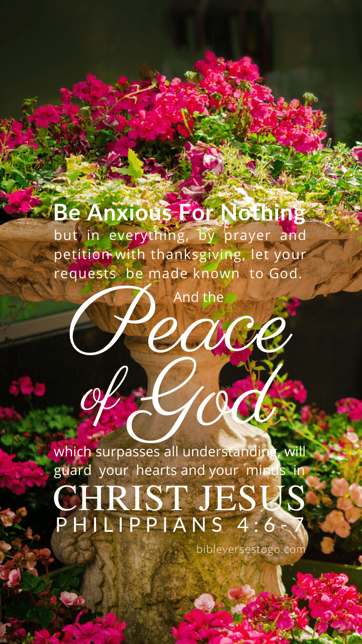 Christian Wallpaper – Planter Philippians 4:6-7