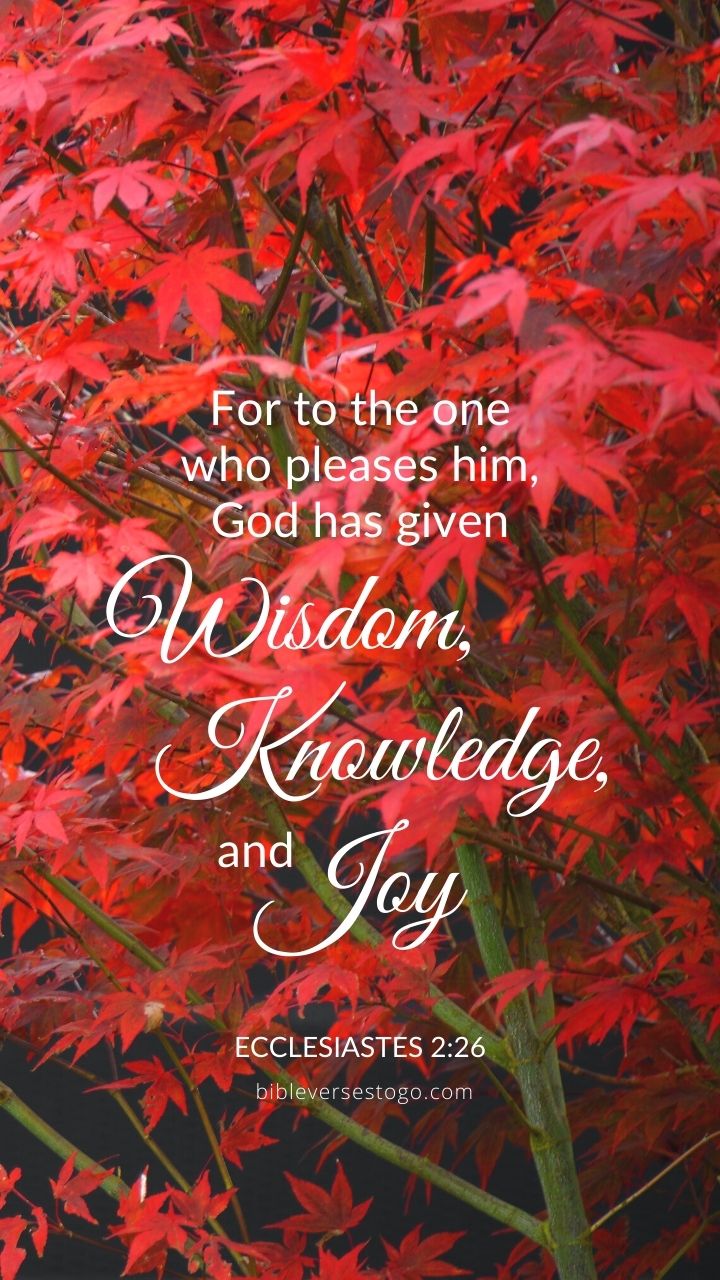 Pleasing God Ecclesiastes 2:26