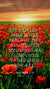 Christian Wallpaper - Poppy Sunrise Matthew 5:16