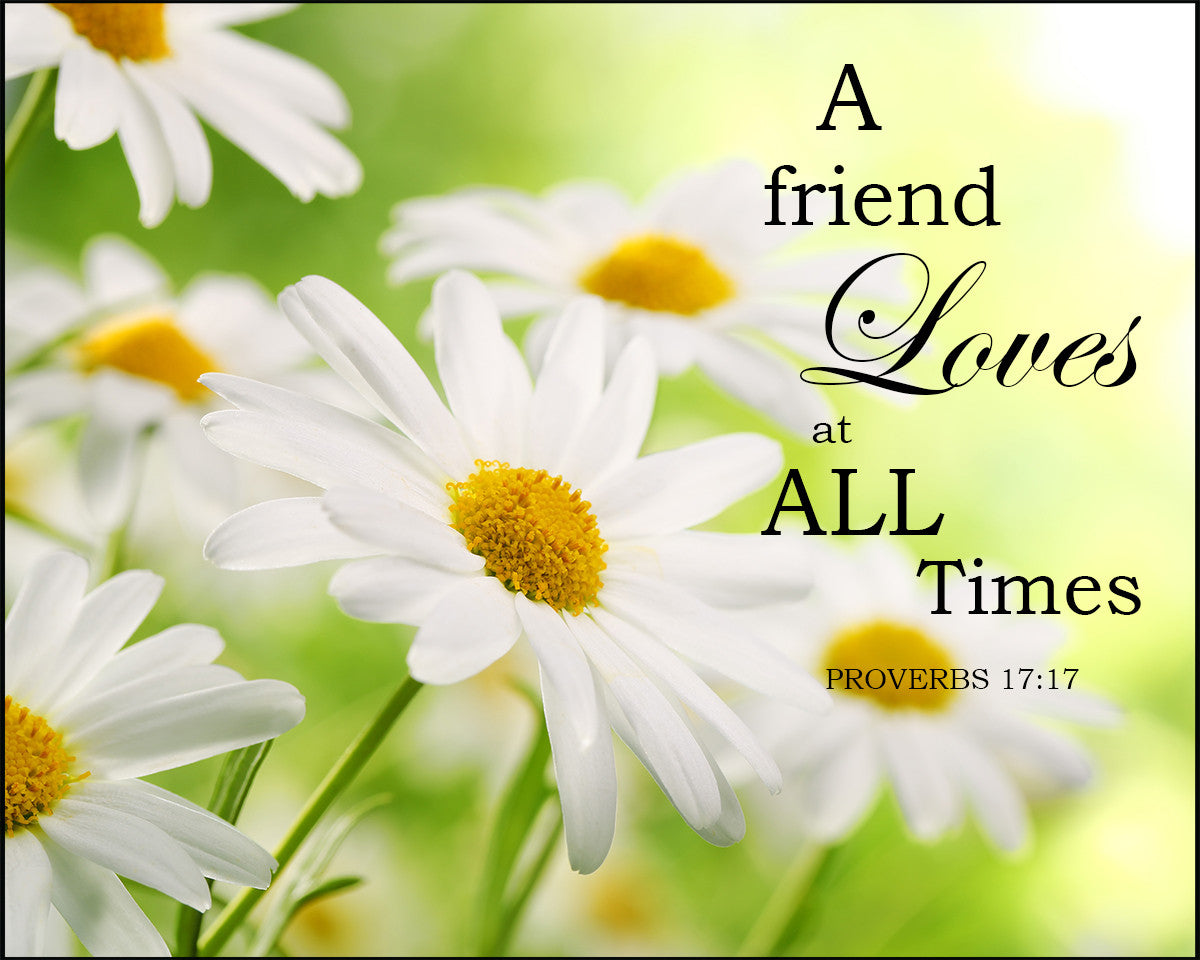 Proverbs 17:17 - A Friend Loves - Bible Verses To Go
