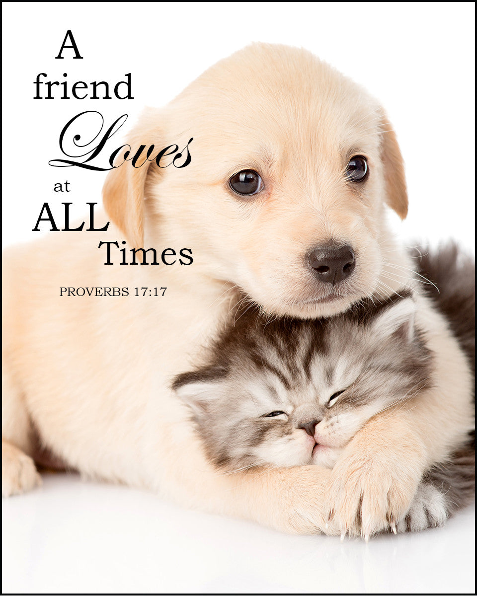 Proverbs 17:17 - A Friend Loves - Bible Verses To Go