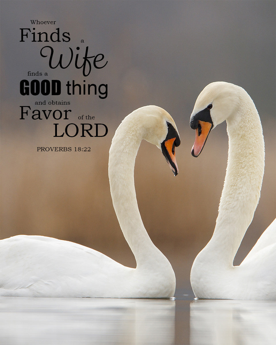 Proverbs 18:22 - Whoever Finds a Wife - Bible Verses To Go
