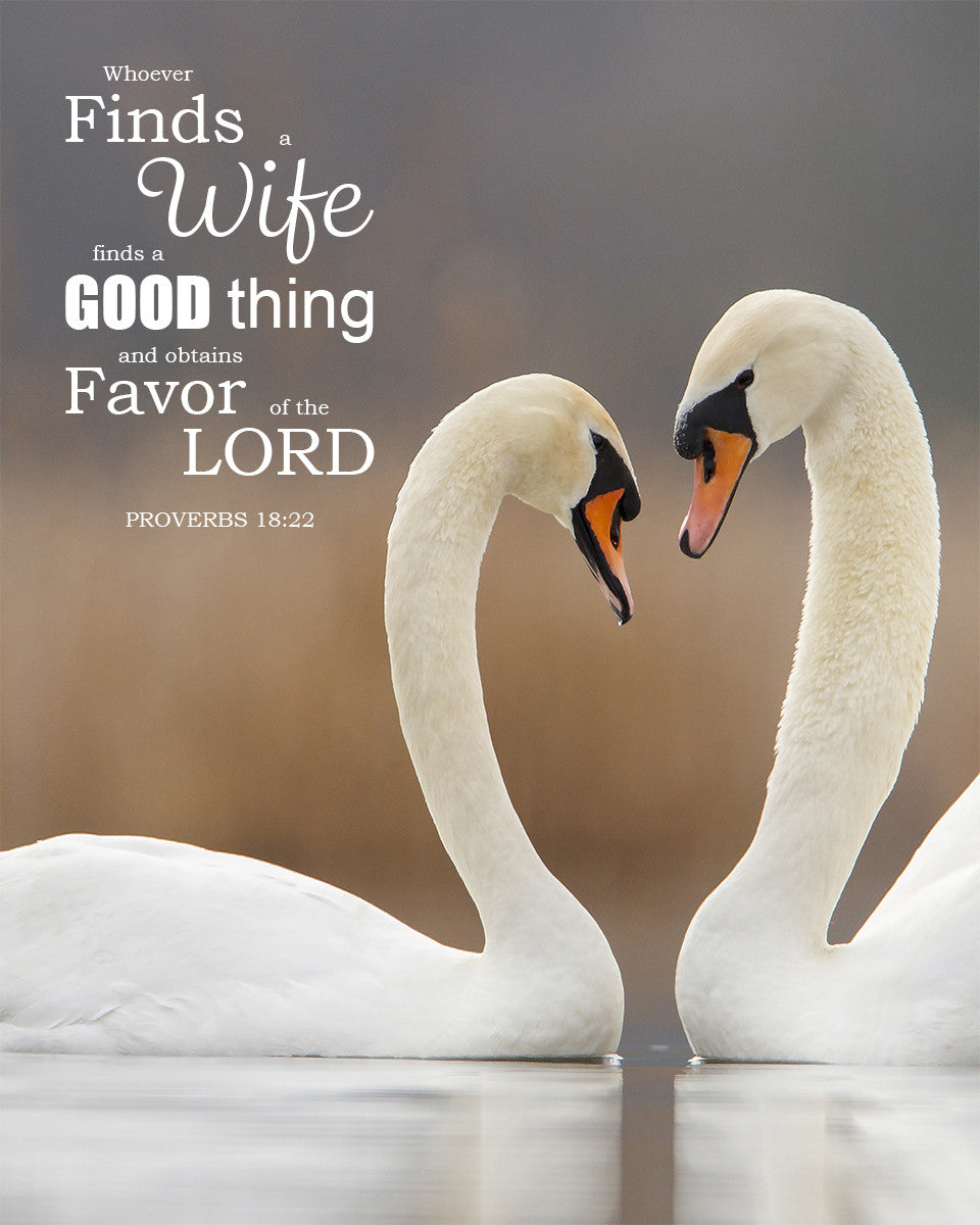 Proverbs 18:22 - Whoever Finds a Wife - Bible Verses To Go