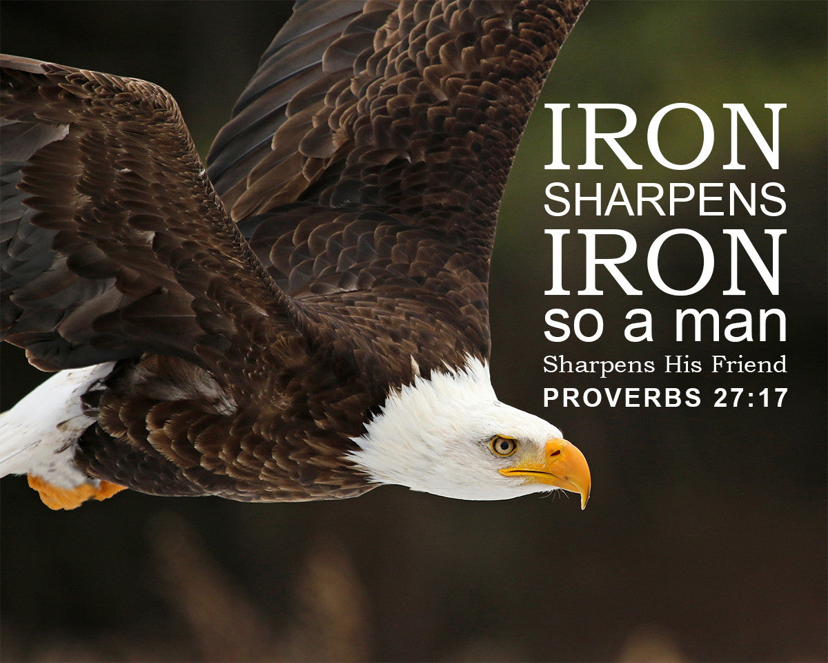 Proverbs 27:17 - Iron Sharpens Iron - Bible Verses To Go