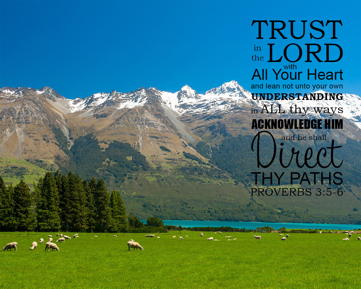 Proverbs 3:5-6 - Trust in the Lord - Bible Verses To Go