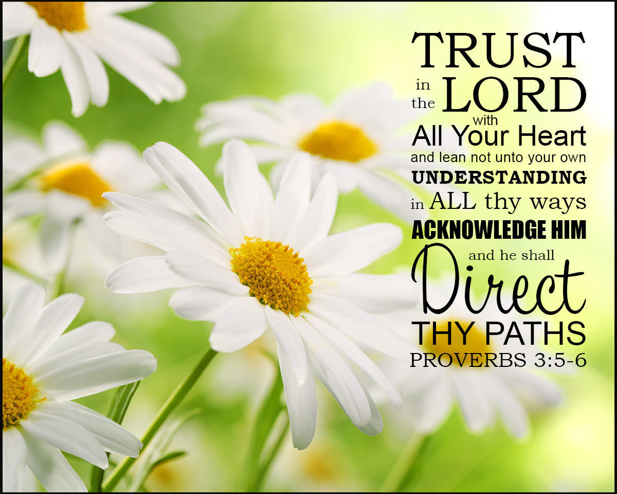 Proverbs 3:5-6 - Trust in the Lord - Bible Verses To Go