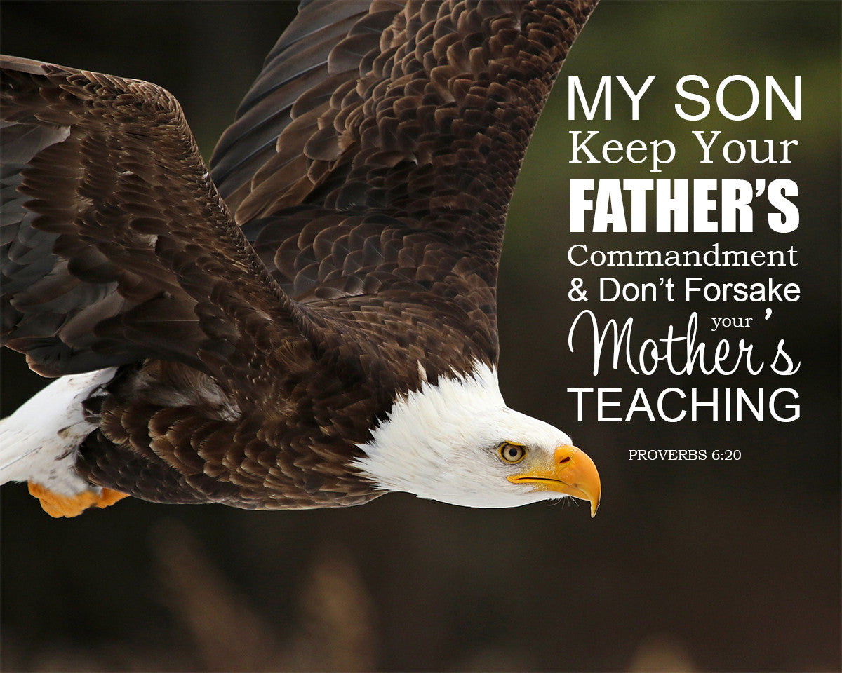 Proverbs 6:20 - Mother&#39;s Teaching - Bible Verses To Go