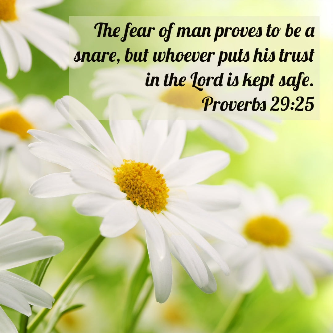 Proverbs 29:25 - The Fear of Man - Bible Verses To Go