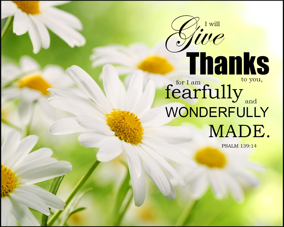 Psalm 139:14 - Wonderfully Made - Bible Verses To Go