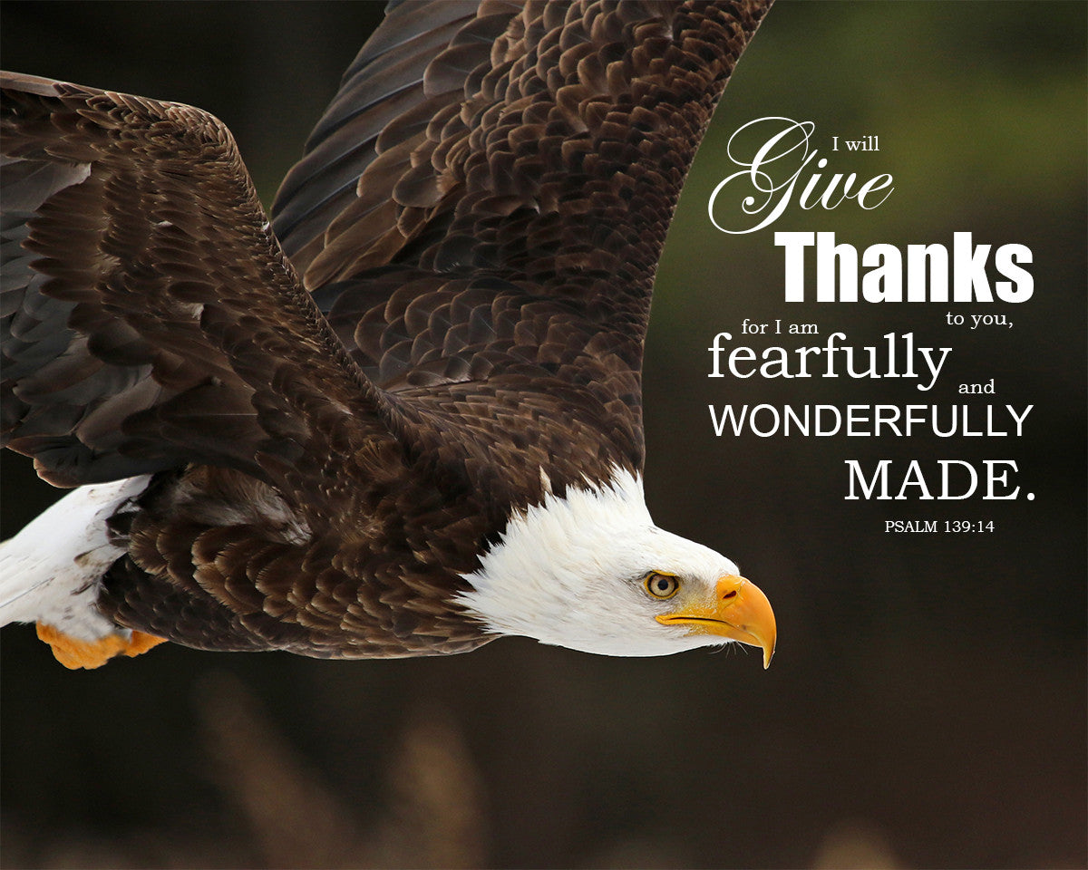 Psalm 139:14 - Wonderfully Made - Bible Verses To Go