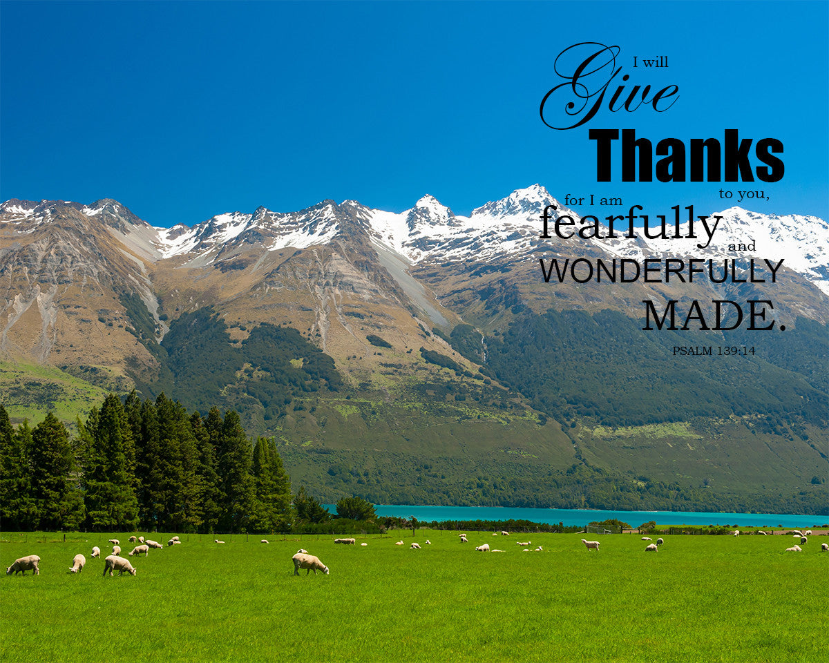 Psalm 139:14 - Wonderfully Made - Bible Verses To Go