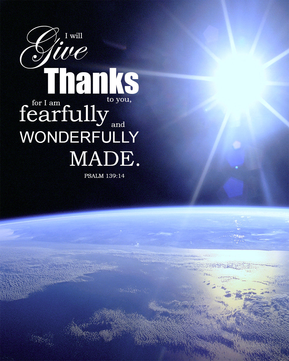 Psalm 139:14 - Wonderfully Made - Bible Verses To Go