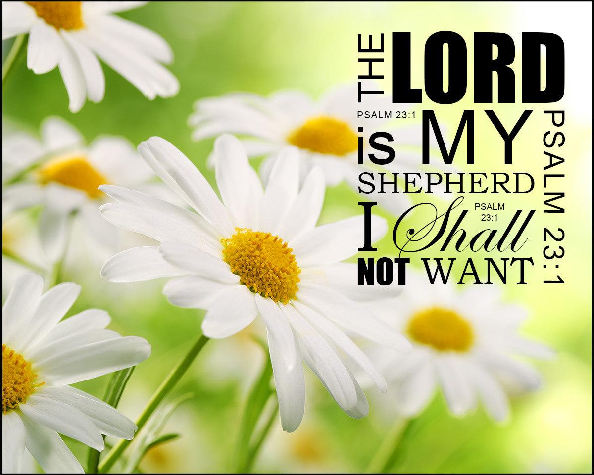 Psalm 23:1 - Lord My Shepherd - Bible Verses To Go