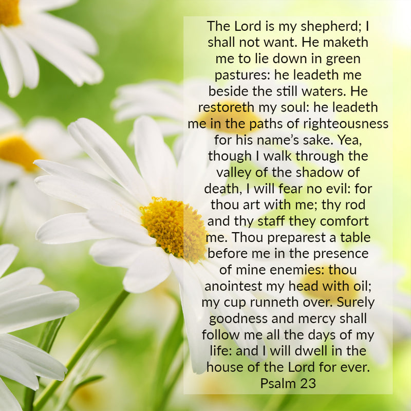 Psalm 23 - Lord Is My Shepherd; I Shall Not Want - Free Download 