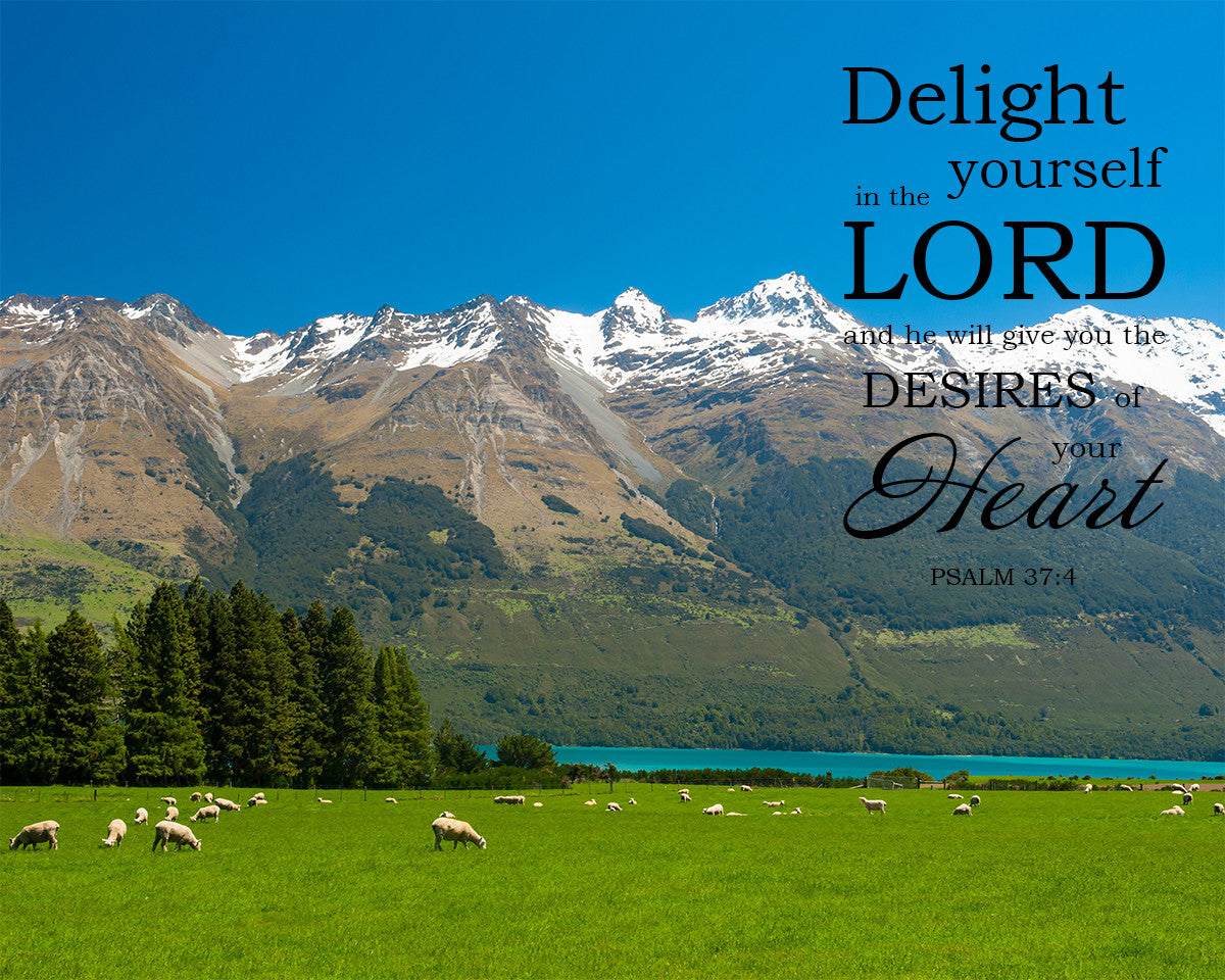 Psalm 37:4 - Delight in the Lord - Bible Verses To Go