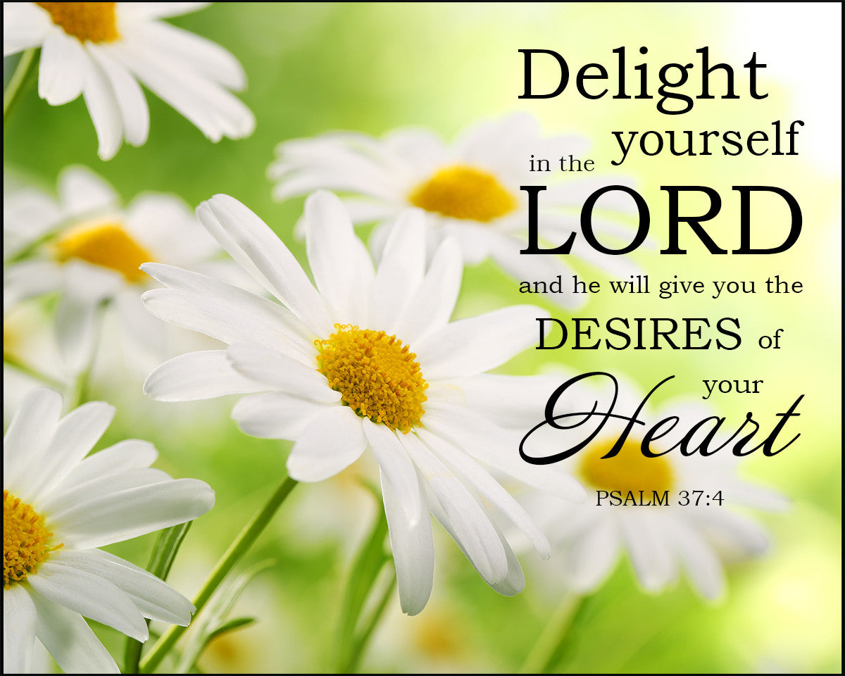 Psalm 37:4 - Delight in the Lord - Bible Verses To Go