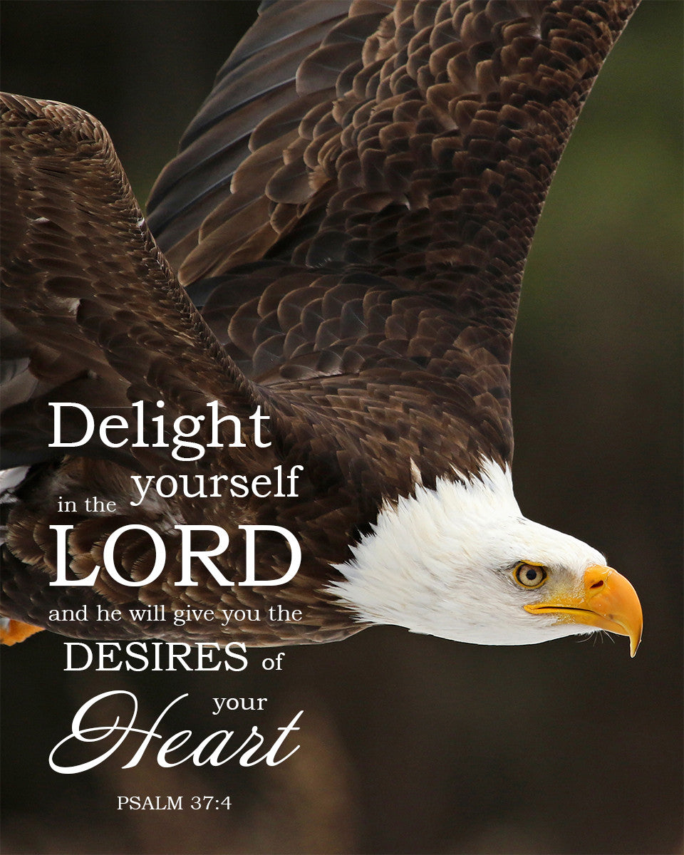 Psalm 37:4 - Delight in the Lord - Bible Verses To Go