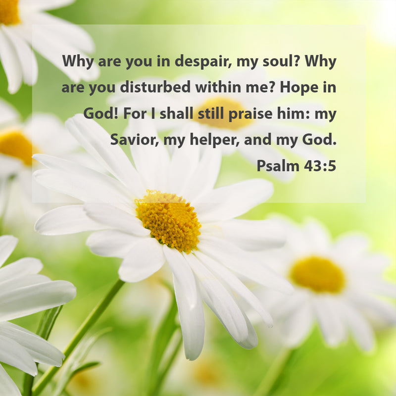 Psalm 43:5 - Hope in God My Helper - Free Download - Bible Verses To Go