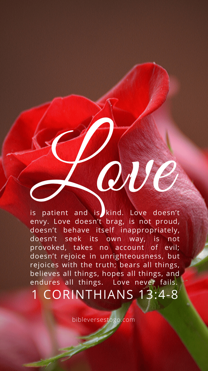 Christian Wallpaper – Red Rose 1 Corinthians 13:4-8
