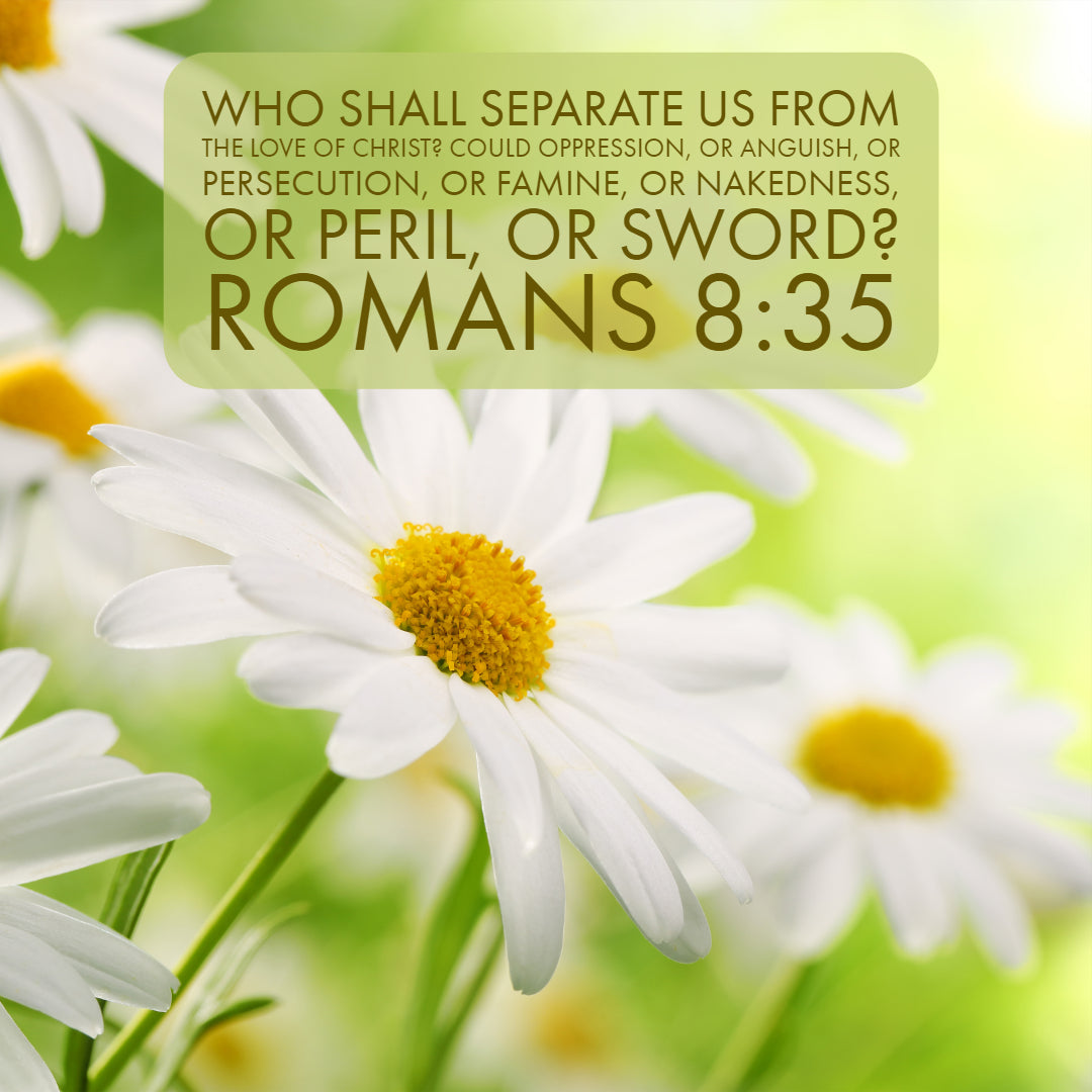 Romans 8:35 - Who Shall Separate Us From Christ&#39;s Love - Bible Verses To Go