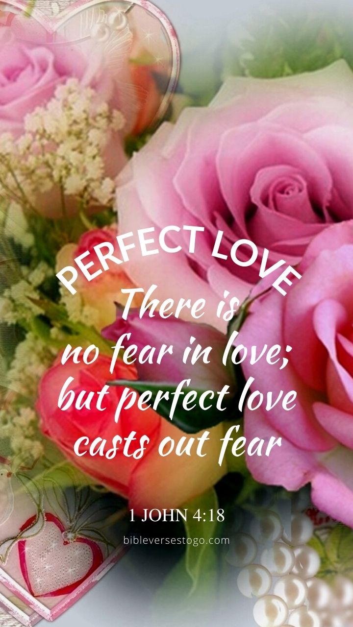 Christian Wallpaper - Rose Hearts 1 John 4:18