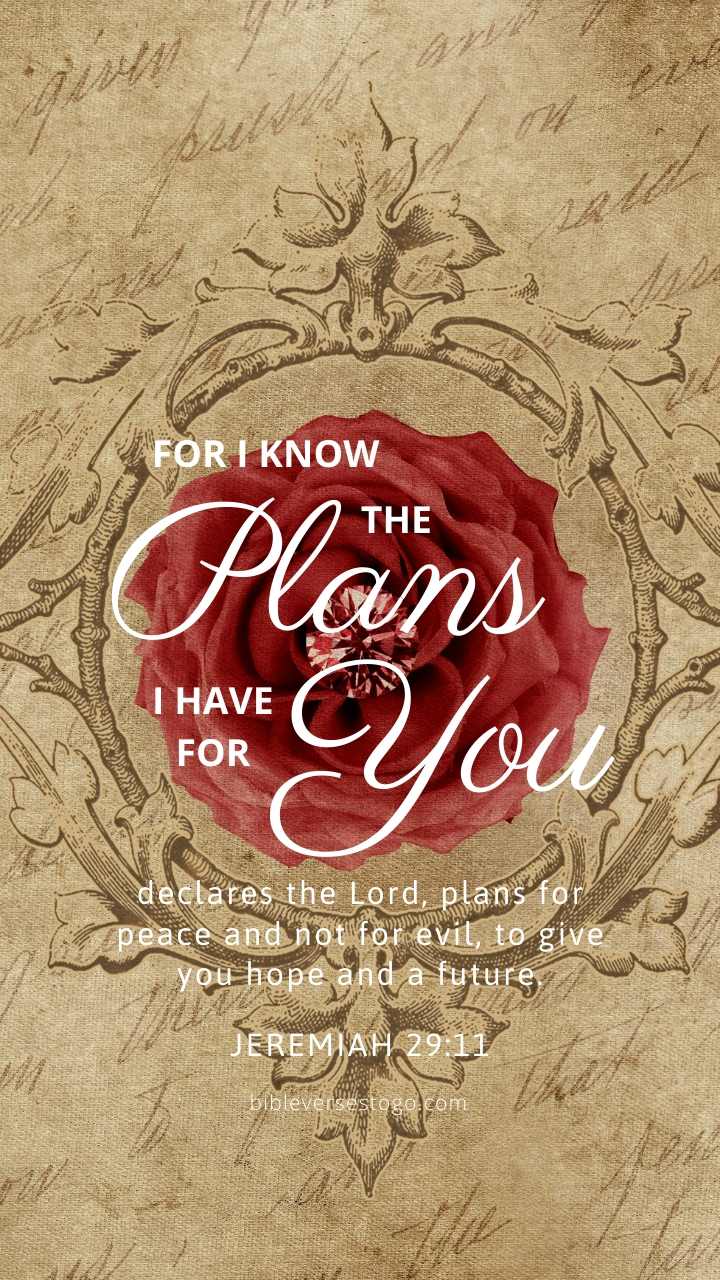 Christian Wallpaper – Rose Diamond Jeremiah 29:11