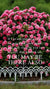 Christian Wallpaper - Roses Galore John 14:3