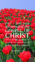 Christian Wallpaper - Sea of Tulips Romans 1:16