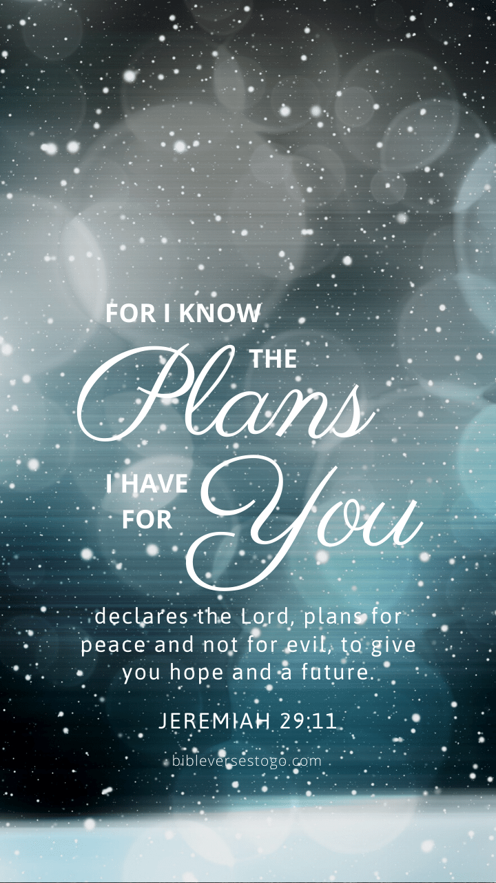 Christian Wallpaper - Snowfall Jeremiah 29:11