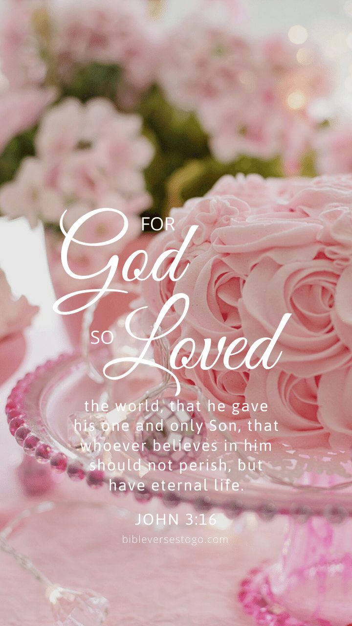 Christian Wallpaper – Soft Pink John 3:16
