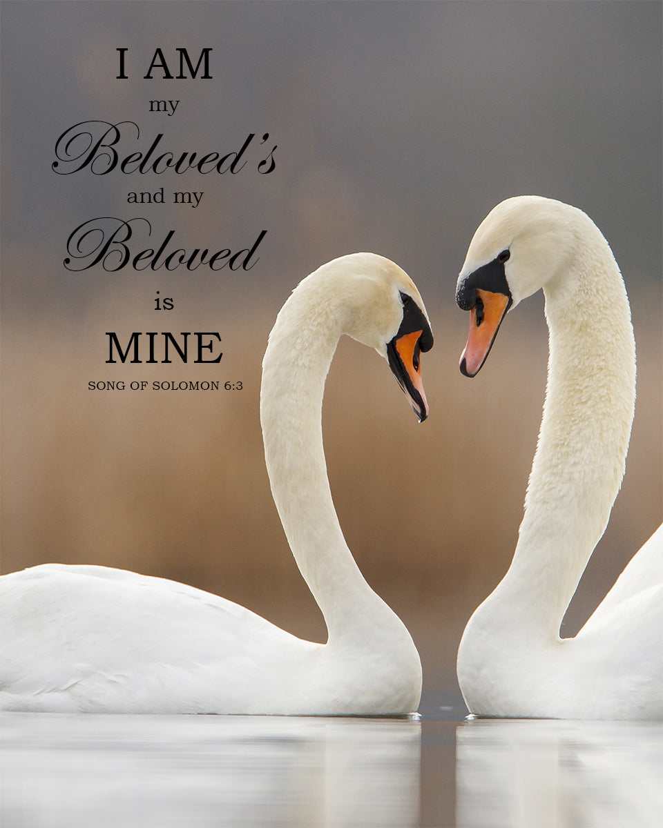 Song of Solomon 6:3 - I am My Beloved&#39;s - Bible Verses To Go
