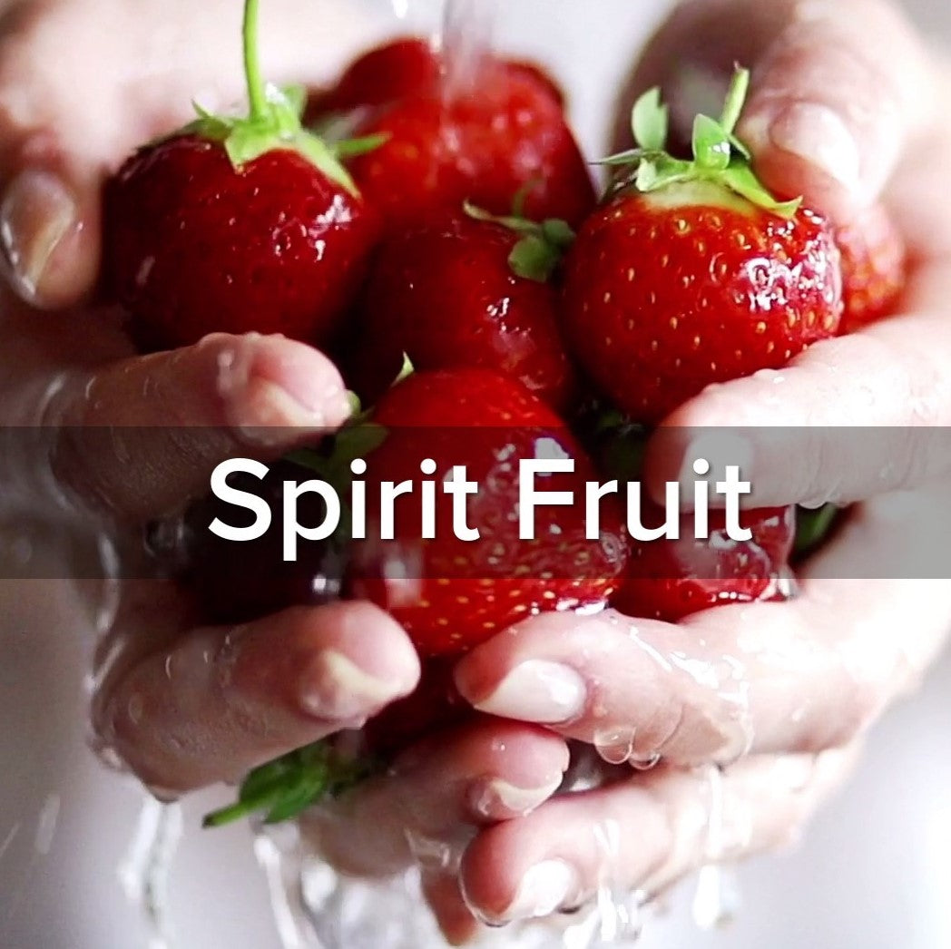 Galatians 5:22-23 Spirit Fruit - VIDEO