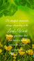 Christian Wallpaper - Spring Blooms 1 Corinthians 15:58