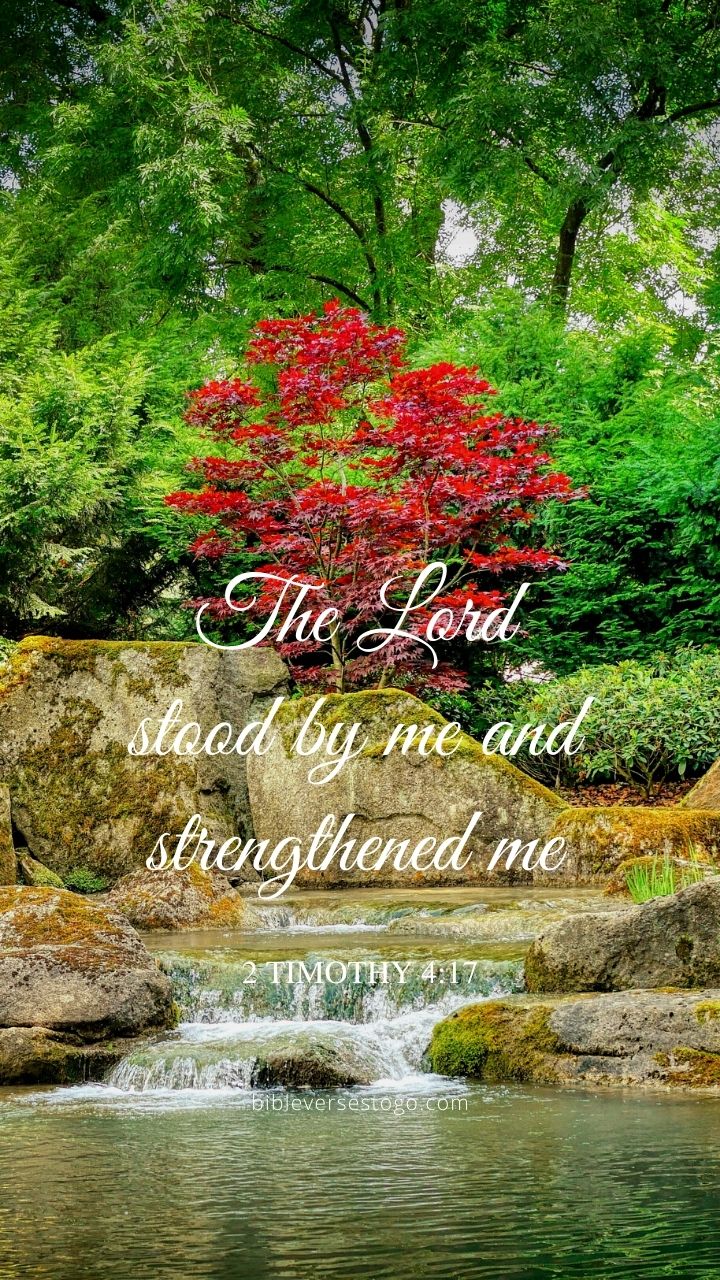 Christian Wallpaper - Stood by Me 2 Timothy 4:17