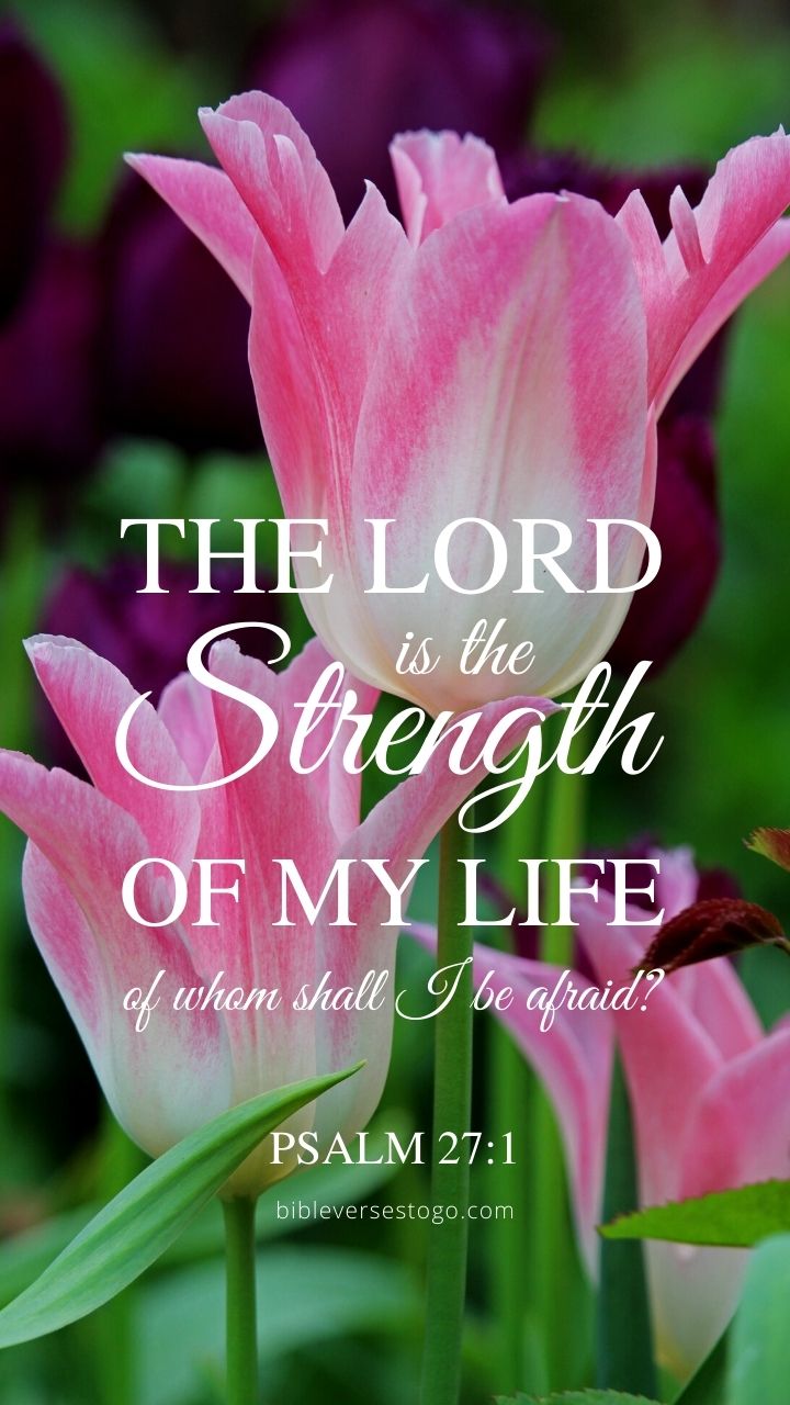 Christian Wallpaper - Strength of Life Psalm 27:1